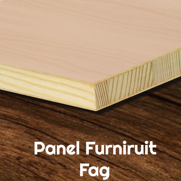 Panel furniruit fag 19mm, tangential A/B 2800x2070